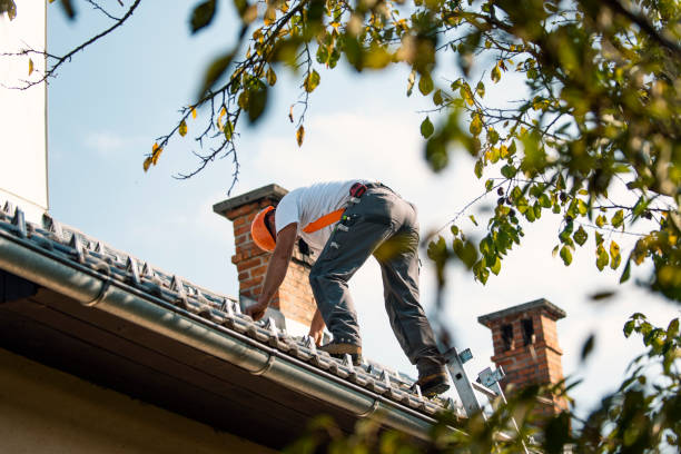 Best Gutter Replacement  in Parker, AZ